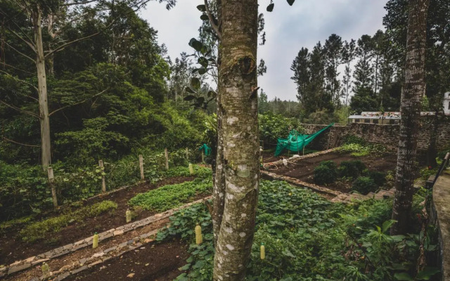 Shambala Yercaud