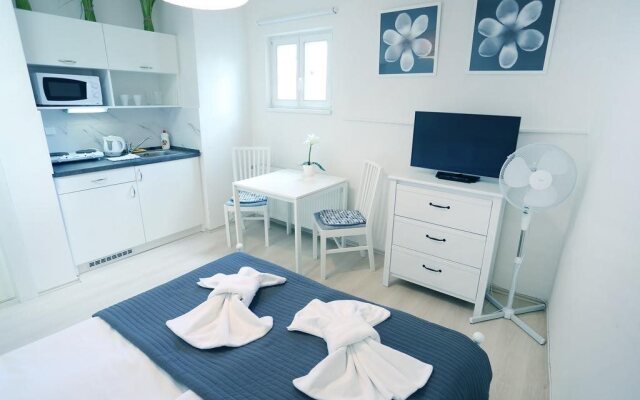 Apartments Pushkin