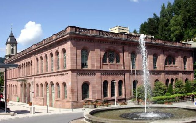 Aparthotel Schwarzwald Panorama