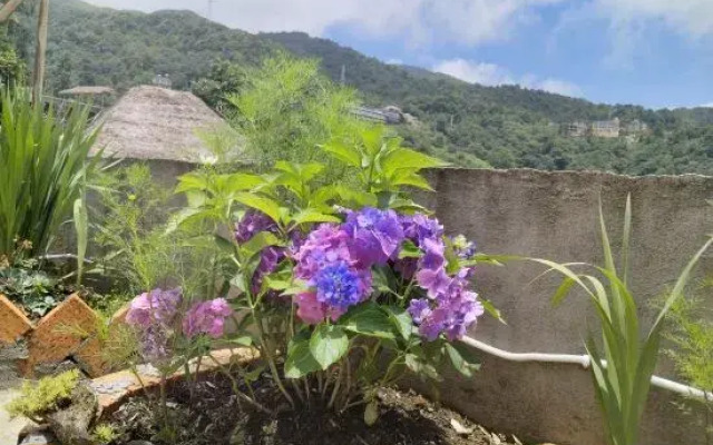 Scarecrow Garden Inn