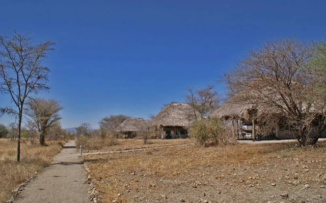 Whistling Thorn Tented Camp
