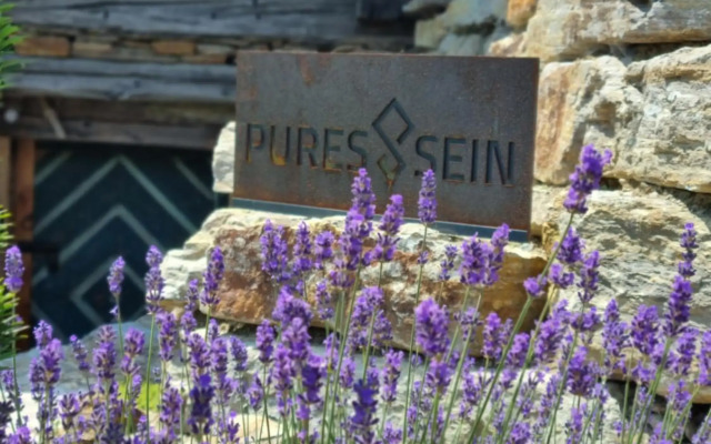 Weinstöckl Hochgrail pures sein