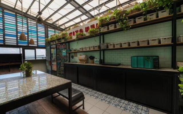 Señor Frogs Hostel - Adults Only