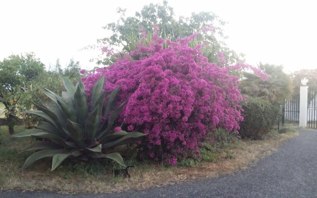 Villa Hibiscus