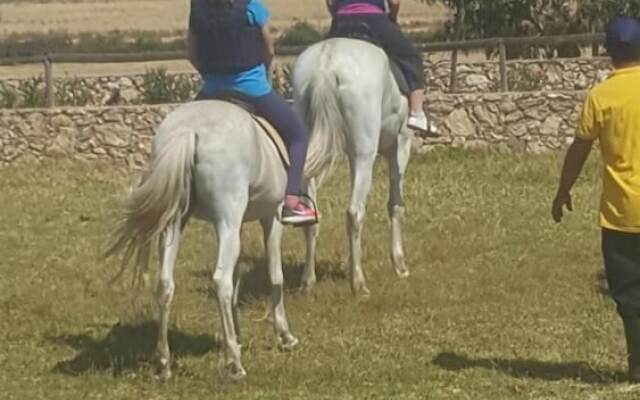 Koheilan Oriental Lodge Farm