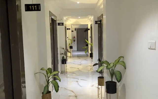 The Vibs International