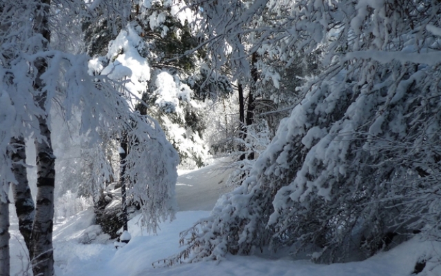 Apartamentos La Neu