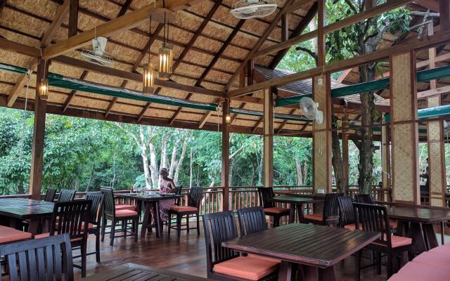 Our Jungle Camp - Eco Resort