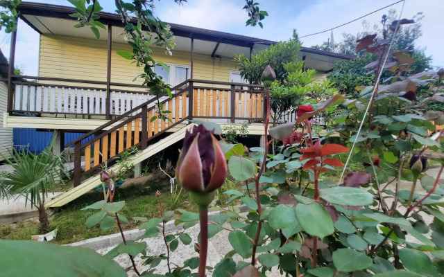 Mandarin Paradise Guest House