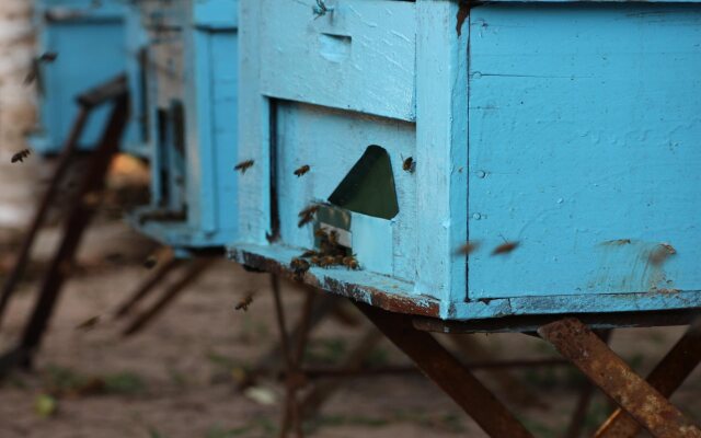 Pepper Farm Phu Quoc Bungalow