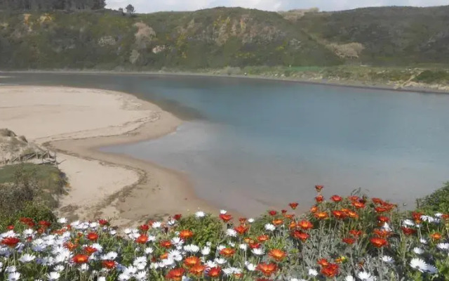 Maravilha da Costa