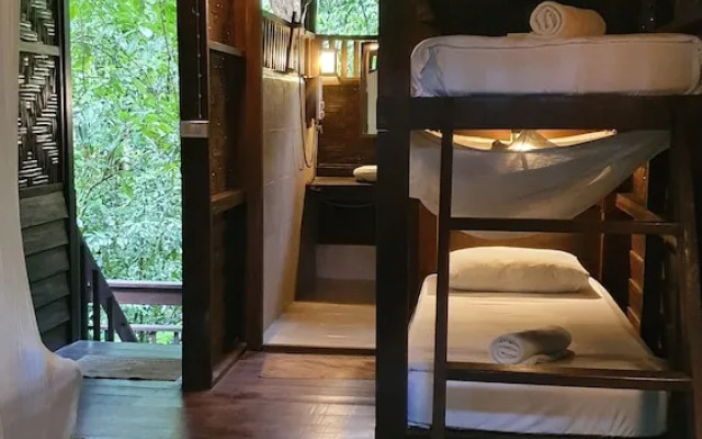 Our Jungle House