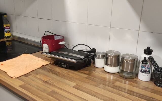 HIDALMEN Arte Rupestre