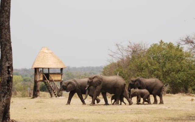 Bushbuck River House