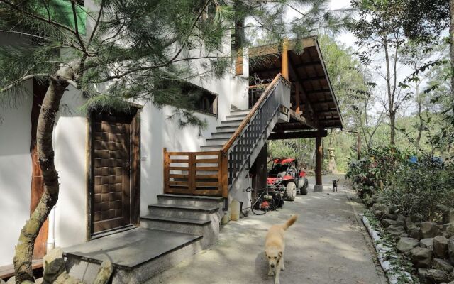 Nine Trees Forest House