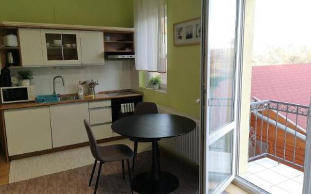 Apartment in Villa Viktoria