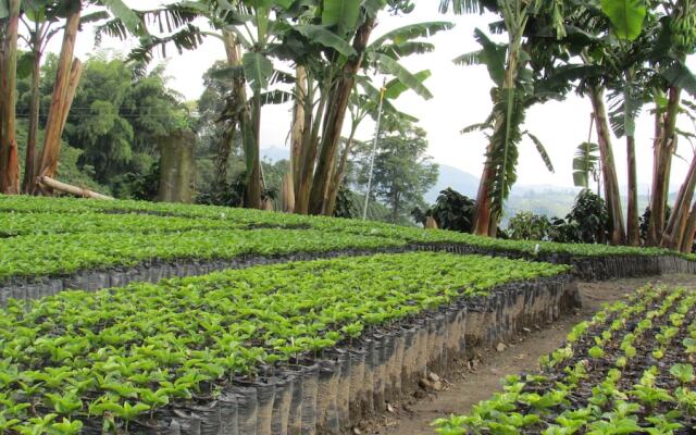 Finca Hotel Villa Clara