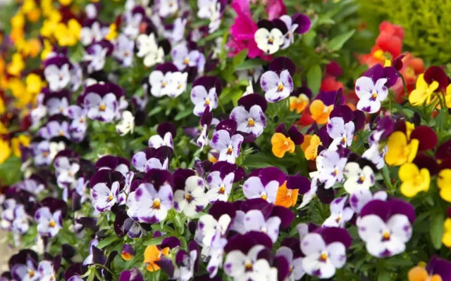 Omura Yasuda Ocean Hotel