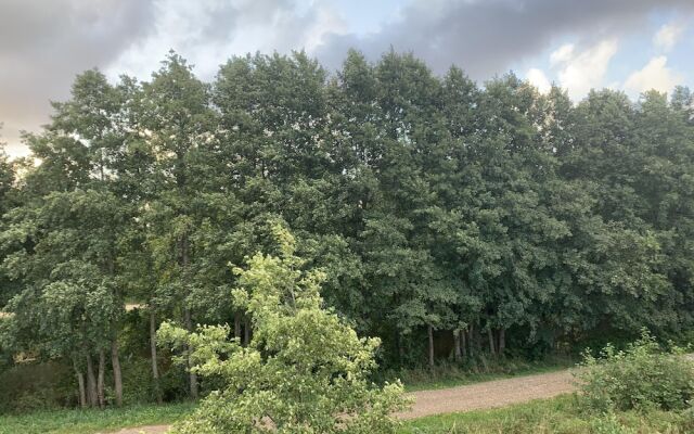 Sun Shine Apartments