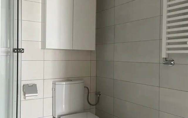 Unique Penthouse Lakeview W19