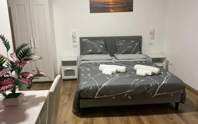B&B Airportandgo