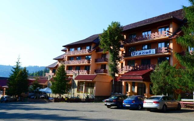 Hotel Bradul