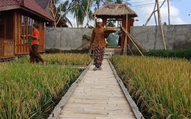 Ubud Sawah Homestay