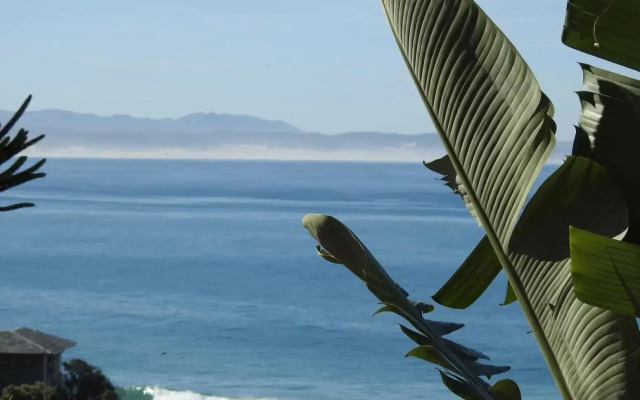 SurfStar at Mimosa