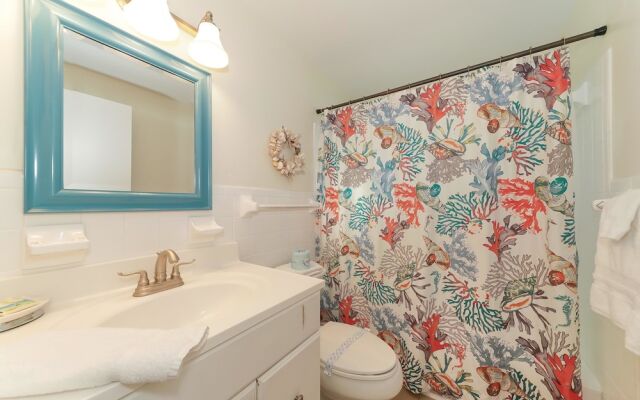 Angelfish Apartment 3