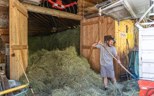 Apartements Precalalt