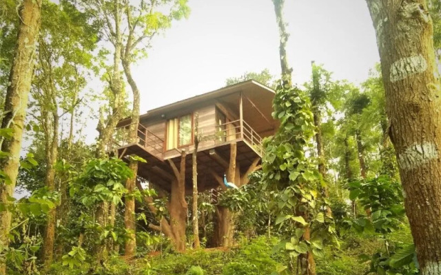 Peter's Coffee Creek Nature Resort