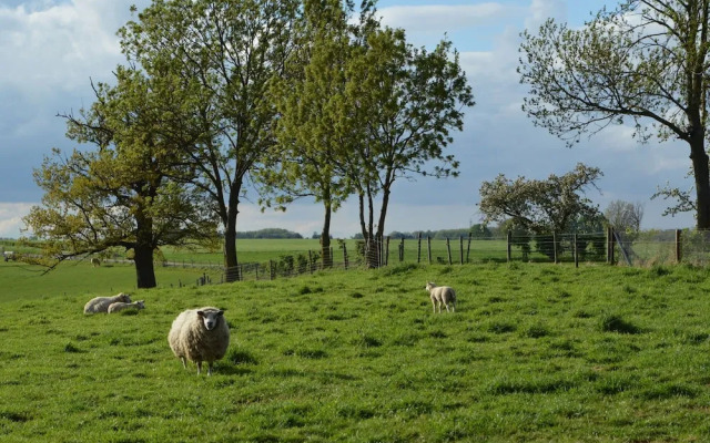Modern Holiday Home near Klimmen With Hill View
