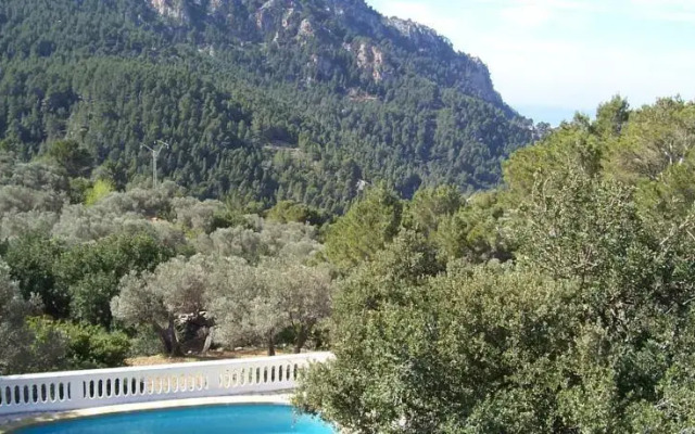 Coll Des Pi