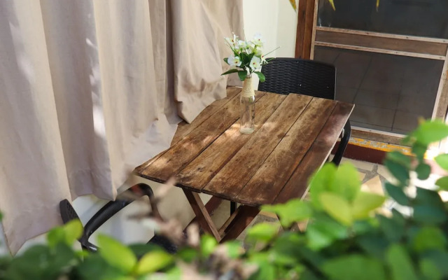 Pata de Perro Bacalar