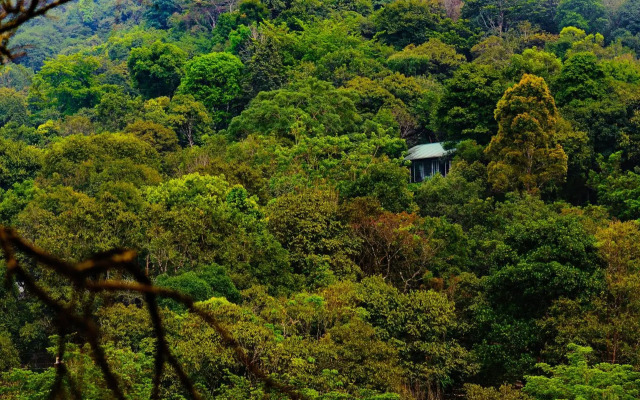 Wayanad Wild Rainforest lodge by CGH Earth
