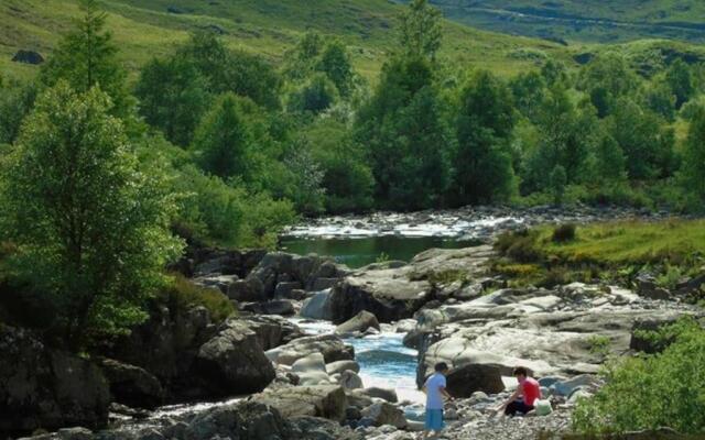 Roe Deer Cottage near Glencoe