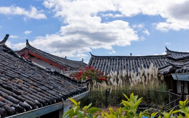 ‌The Secret Garden of Cats & Wolf's Den | Barista Courtyard Cafe & Inn (Wuyi Street) – Outside – Lijiang