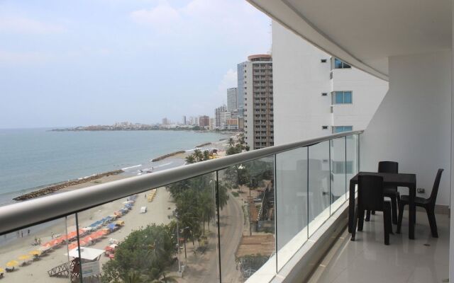 Palmetto Eliptic 1002