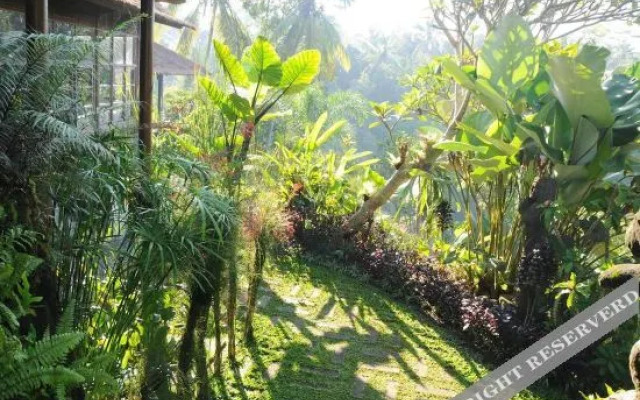 Villa Constance