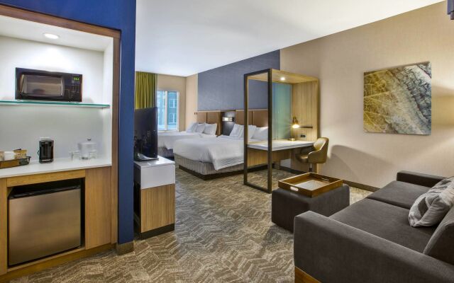 SpringHill Suites by Marriott Pittsburgh Butler/Centre City