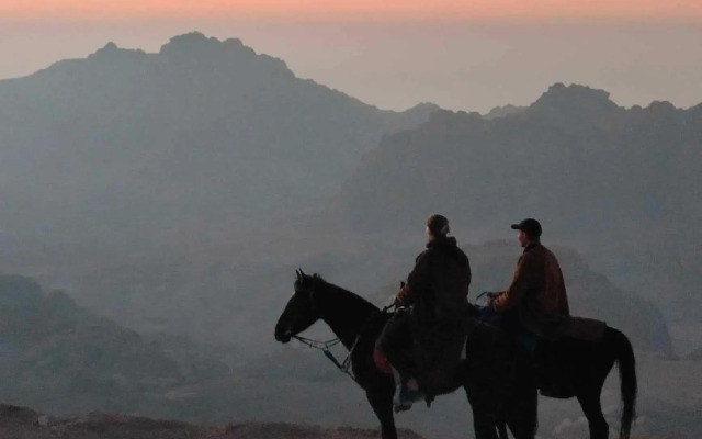 Petra Desert Dream Hotel