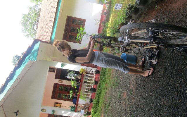 Green herbal Ayurvedic Eco-Lodge
