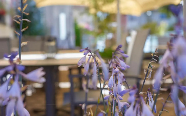 Hotel Restaurant Lindenhof