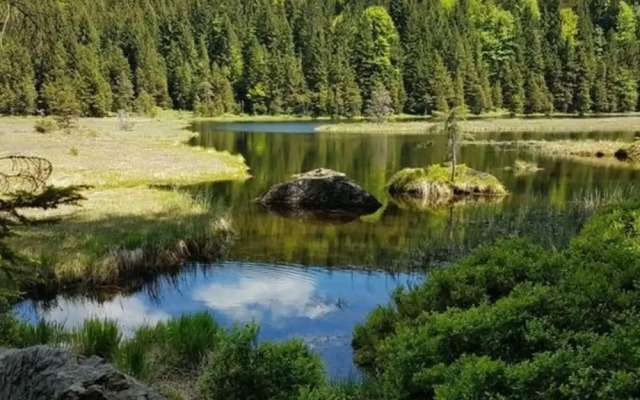 Mountain Apartment in Bad Kotzting