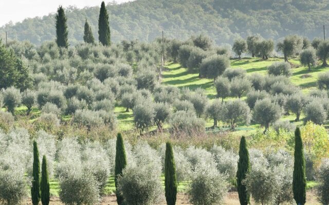 Belvilla by OYO Timo