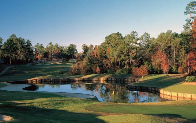 Hilton Garden Inn Mobile East Bay / Daphne