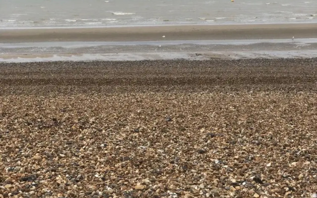 3 bed Bungalow minutes from the beach