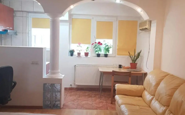 Avrig-Ferdinand Studio