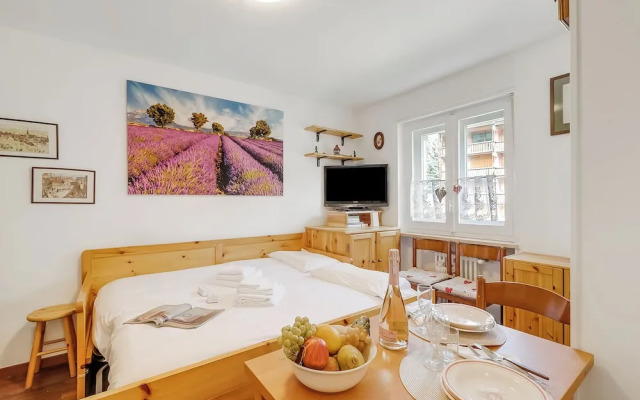 Hermitage Studio - close to ski pistes