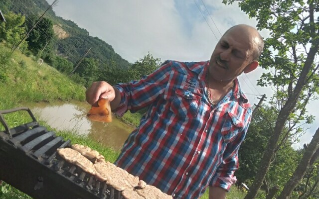 Room in Guest Room - Rural Holiday Transylvania
